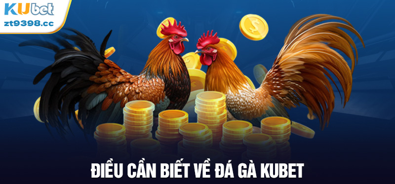 Kubet đã gà - Sân chơi đá gà trực tuyến uy tín
