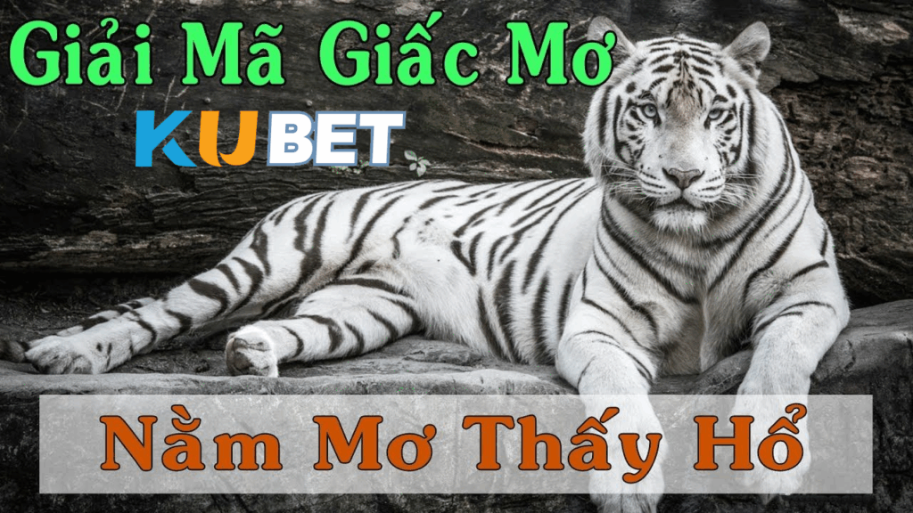 Cùng Kubet – ZT9398.NET – Giải mã giấc Mơ thấy hổ đánh đề như nào